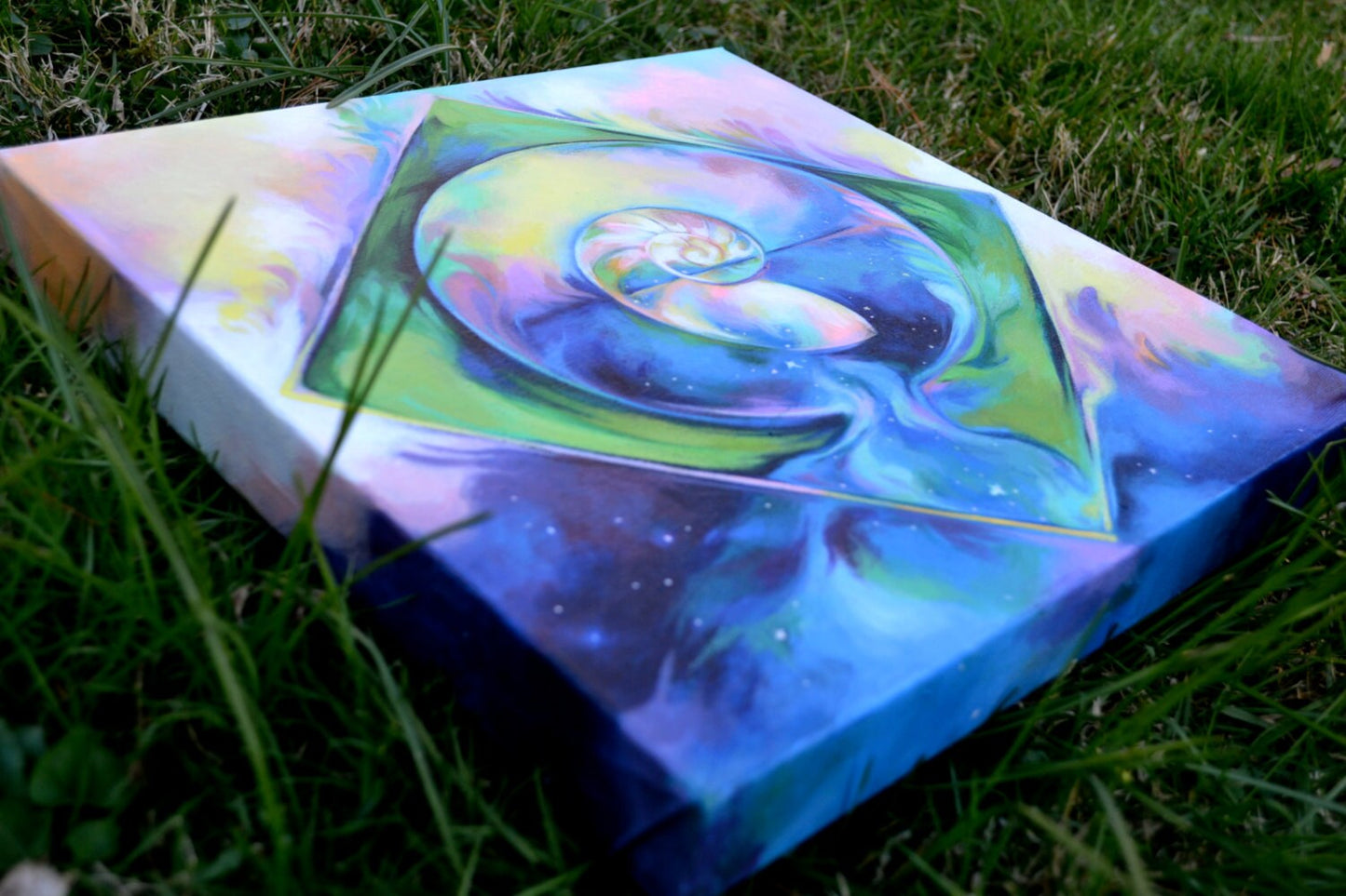Nautilus: Original Painting