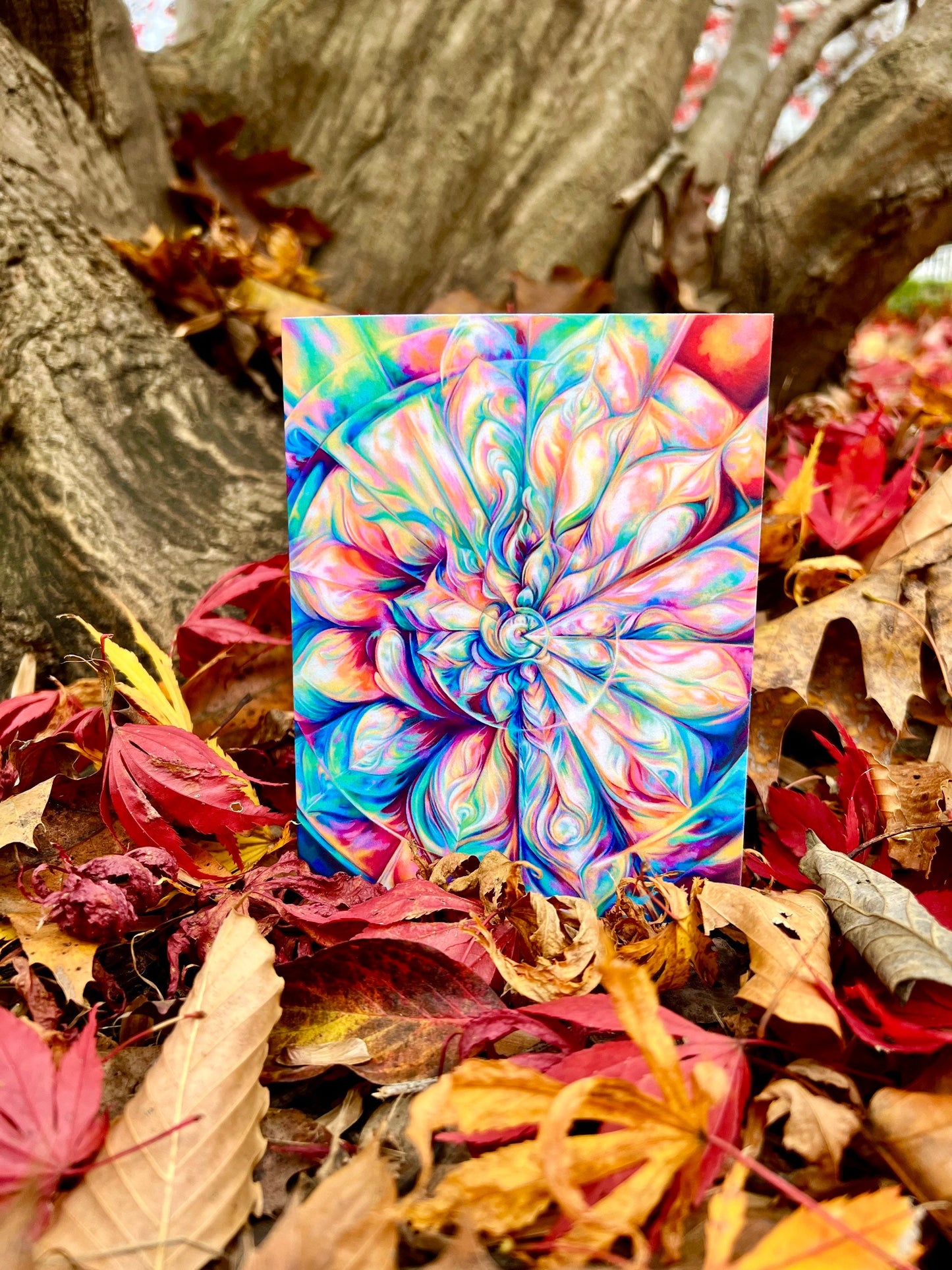 Lux Nova II: Greeting Card