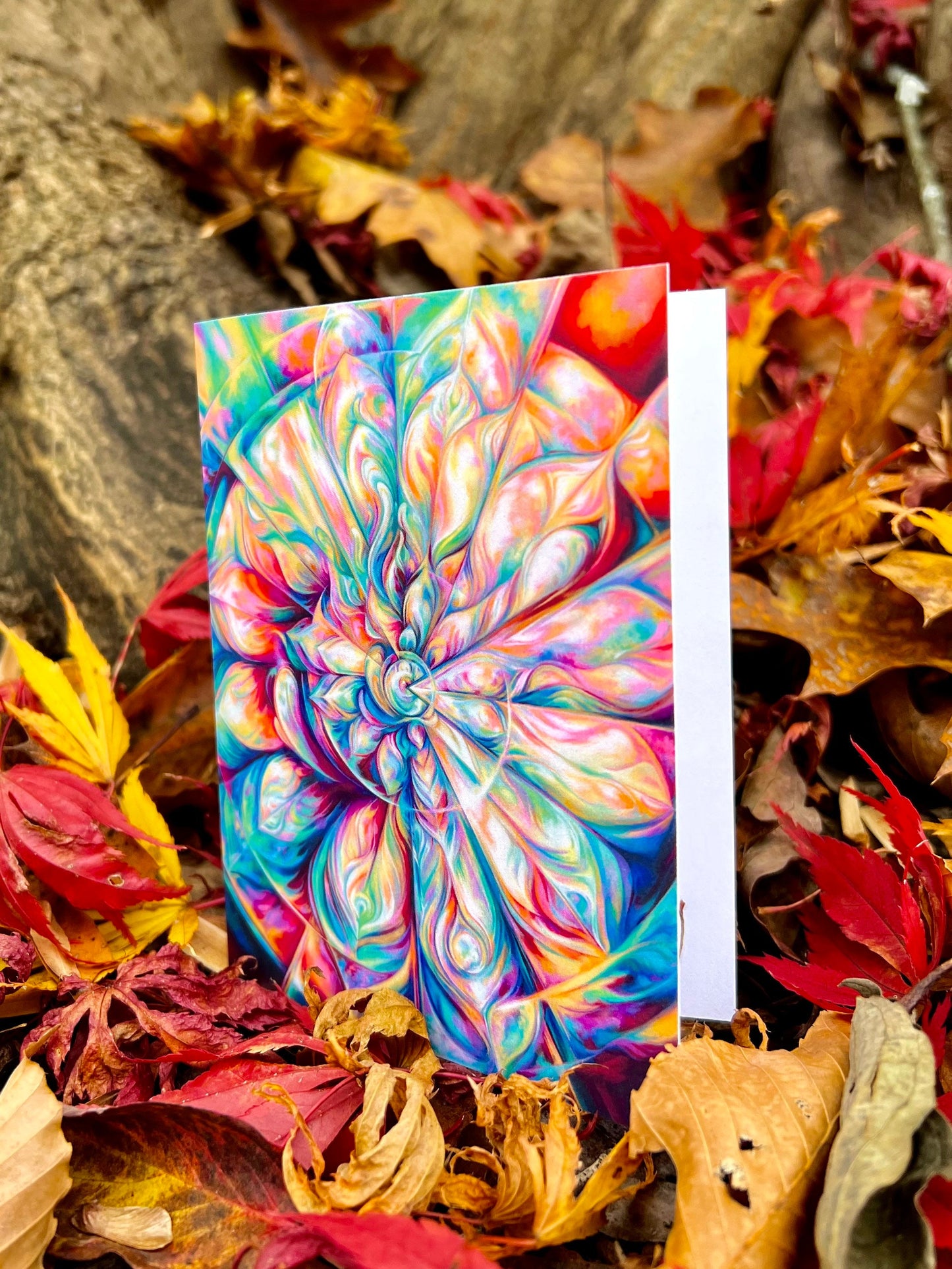 Lux Nova II: Greeting Card