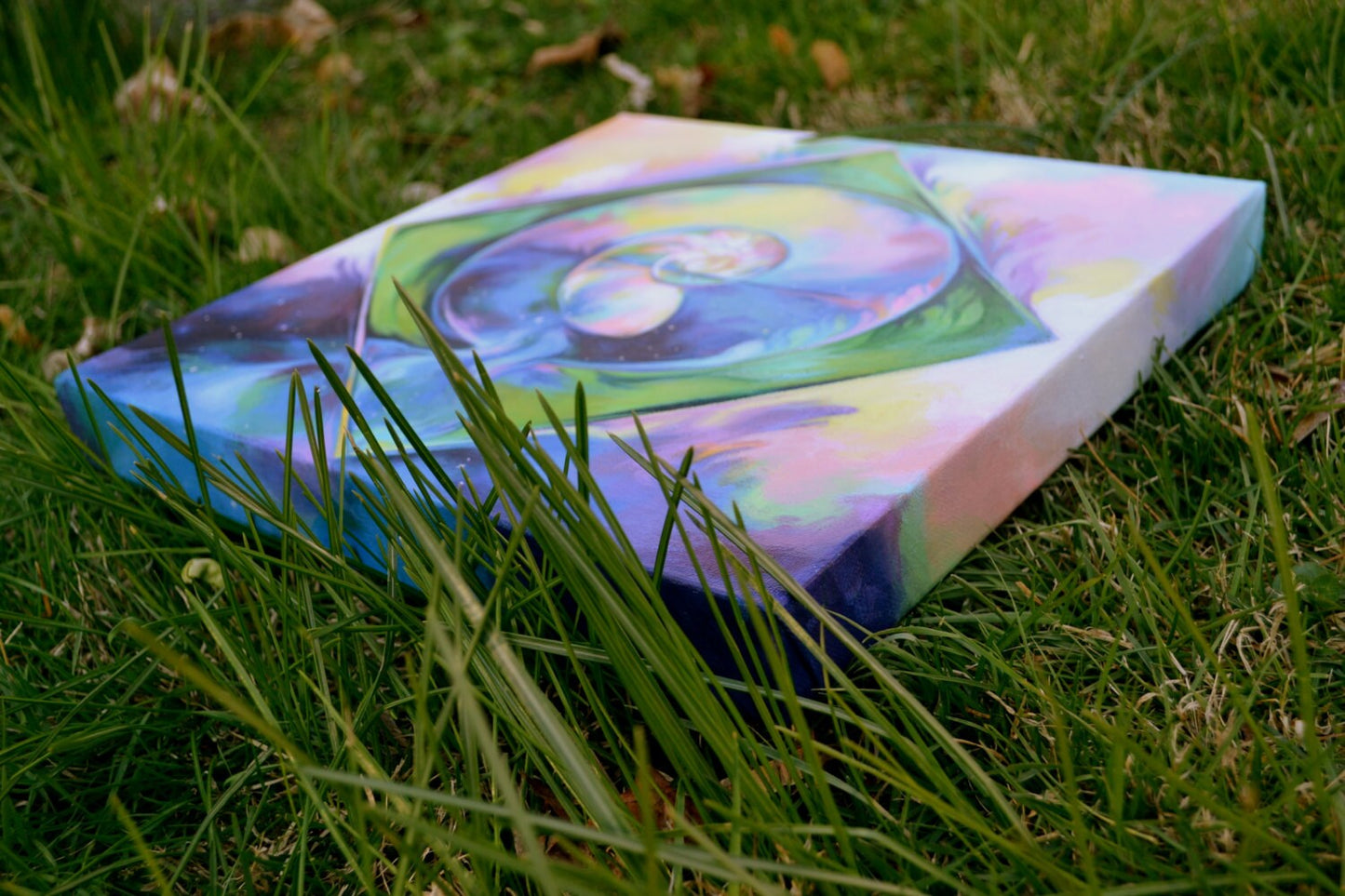 Nautilus: Original Painting